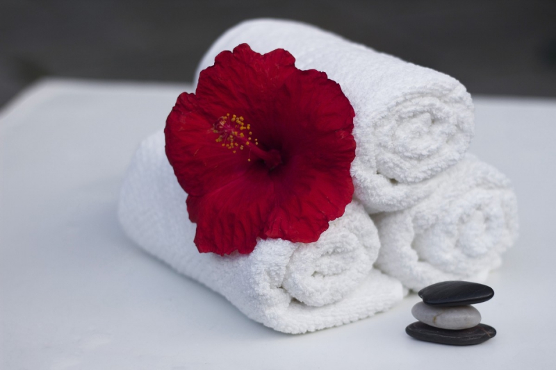 hotel-ARTIGUES-min_towel_hibiscus_clean_care_salon_spa_white_bath-869834